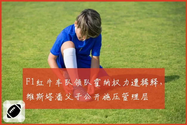F1红牛车队领队霍纳权力遭稀释，维斯塔潘父子公开施压管理层